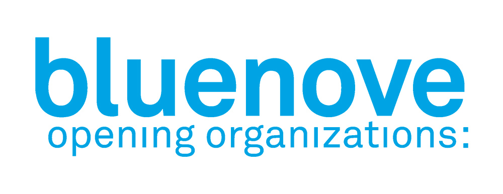 Logo bluenove